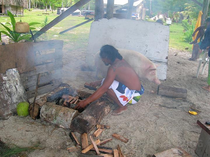 12DSCN1972.JPG - Tavi allume le feu sous le regard mi figue mi raisin du cochon de la maison