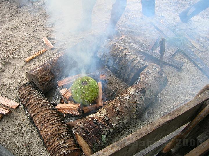 13DSCN1973.JPG - Le Uru ou fruit de l'arbre  pain est dpos  mme les braises pour la cuisson